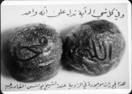 sob7ana  LLah
